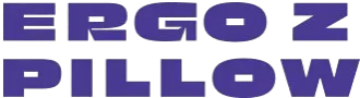 Ergo Z Pillow 1